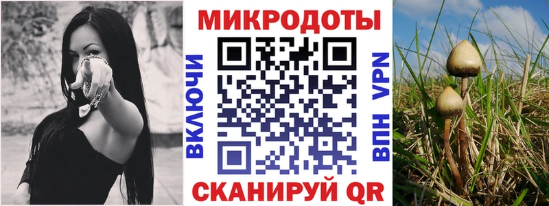Галлюциногенные грибы мицелий  дарк нет формула  Советская Гавань 